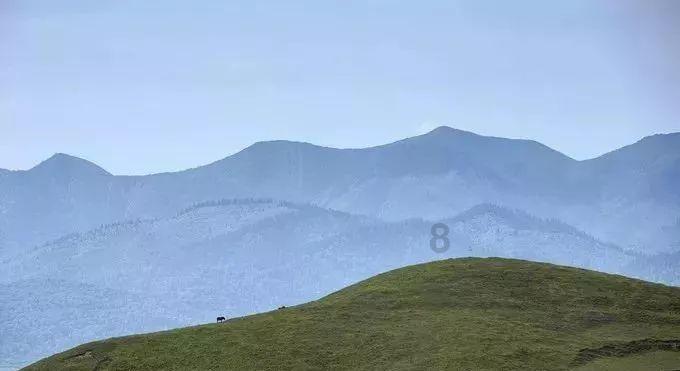 已知两个数相除所得的商是3，被除数除数商相加的和是71，那么被除数是多少为什么已知两个数相除所得的？