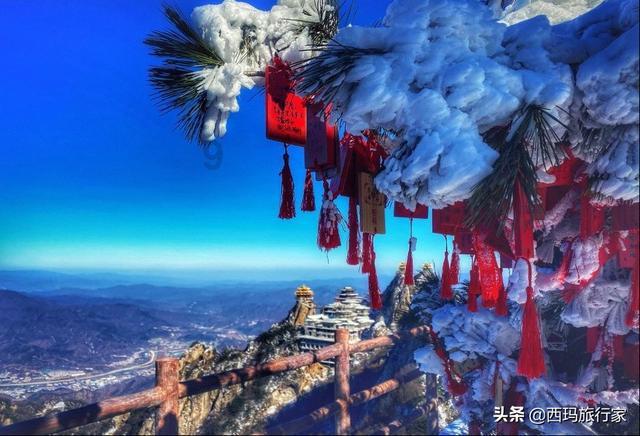 努力工作就能活成自己想要的样子吗？游戏画面